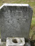 image of grave number 269341